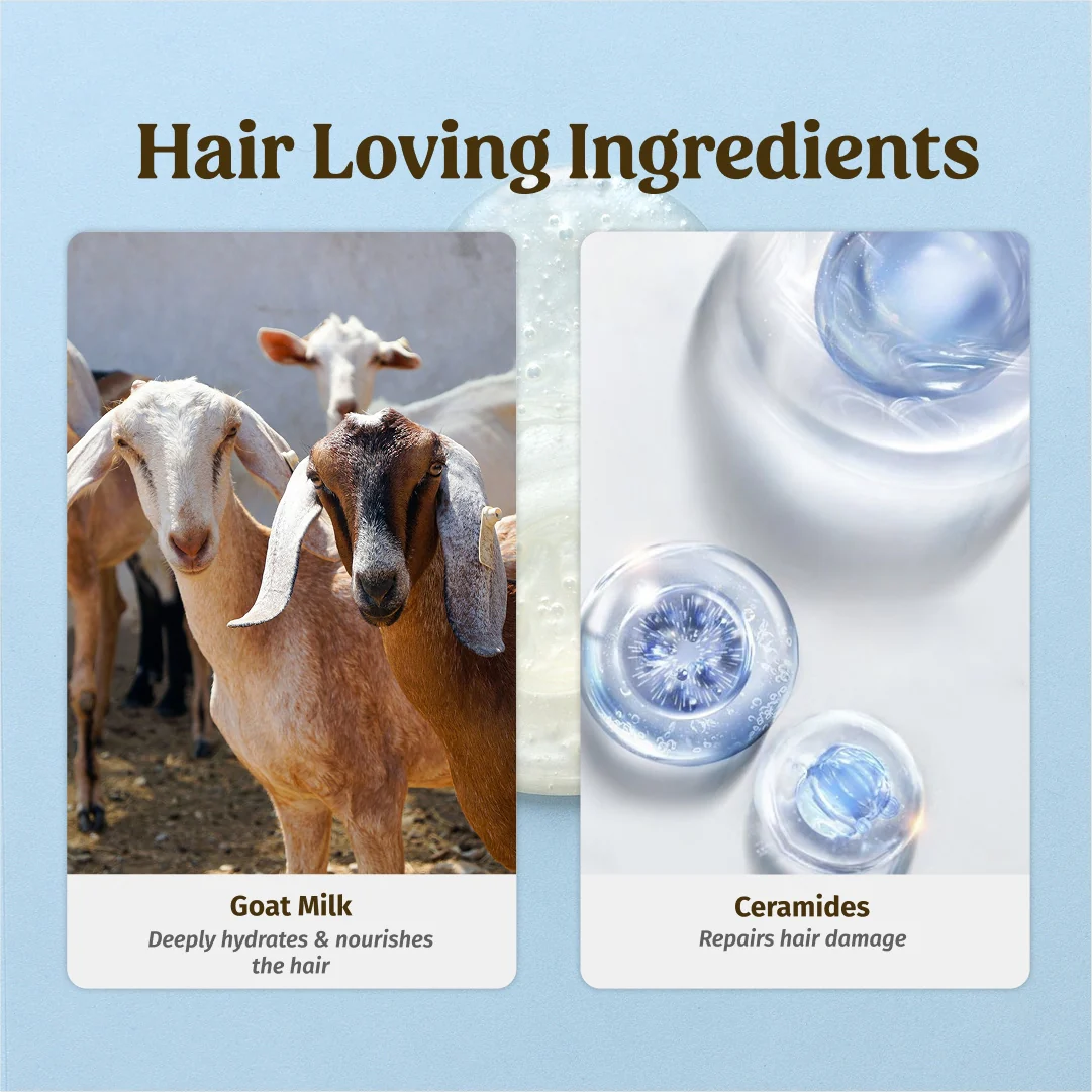 Goat Milk Hair Combo - Image 5