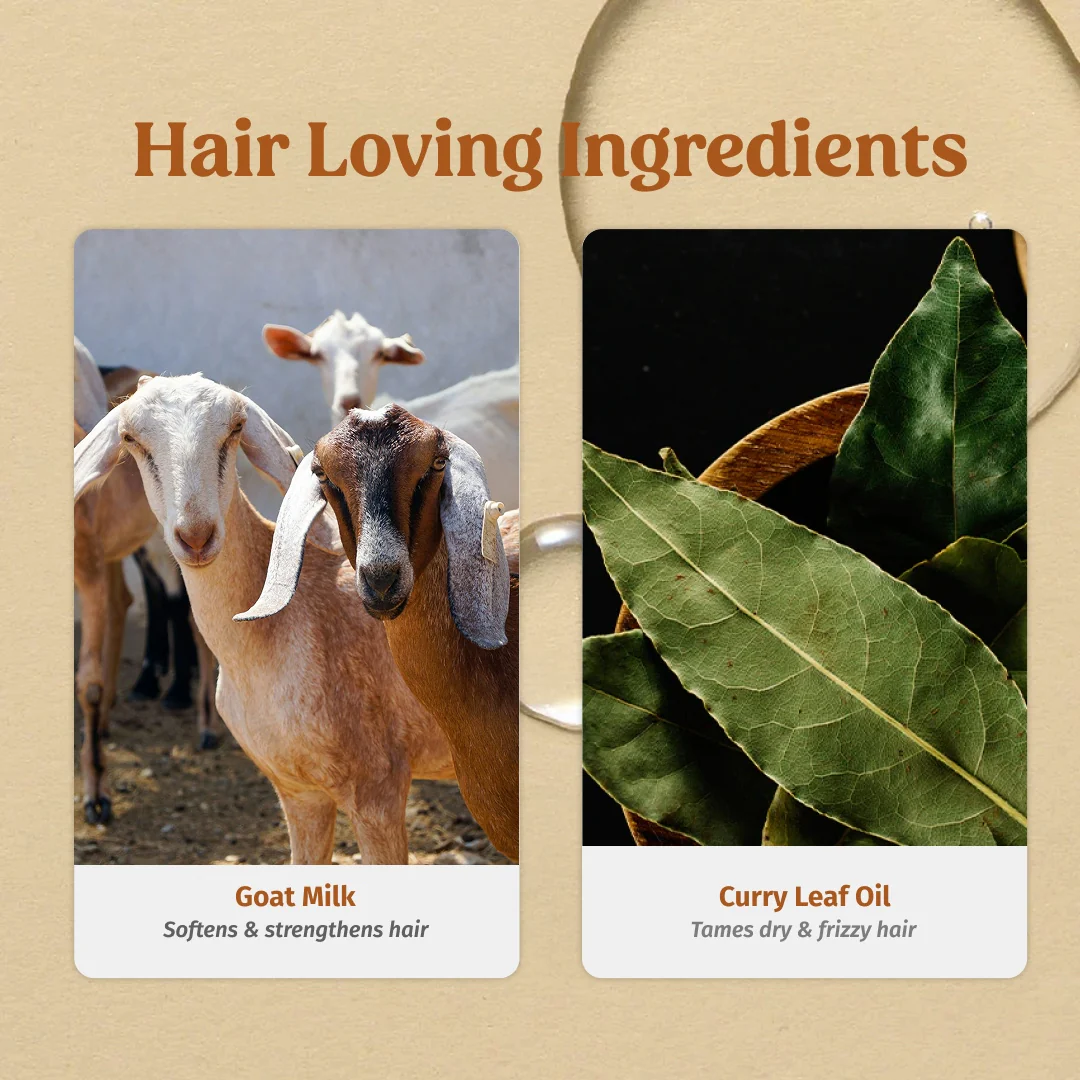 Shampoo & Hair Serum Combo - Image 5